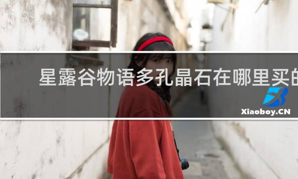 星露谷物语多孔晶石在哪里买的