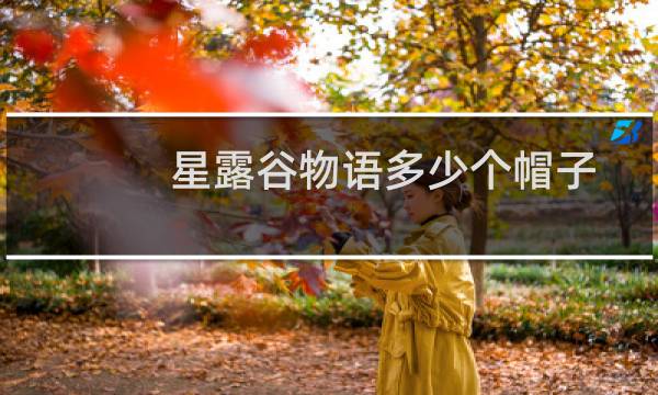 星露谷物语多少个帽子