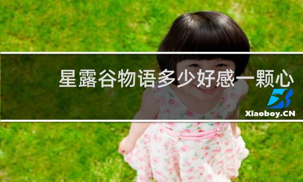 星露谷物语多少好感一颗心
