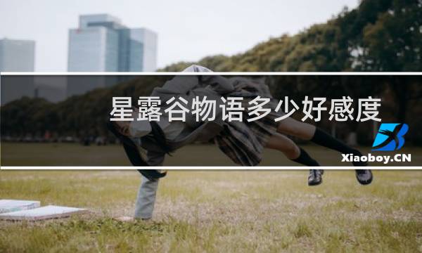星露谷物语多少好感度