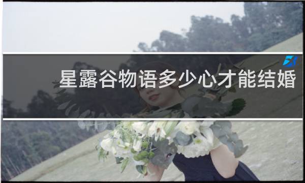 星露谷物语多少心才能结婚