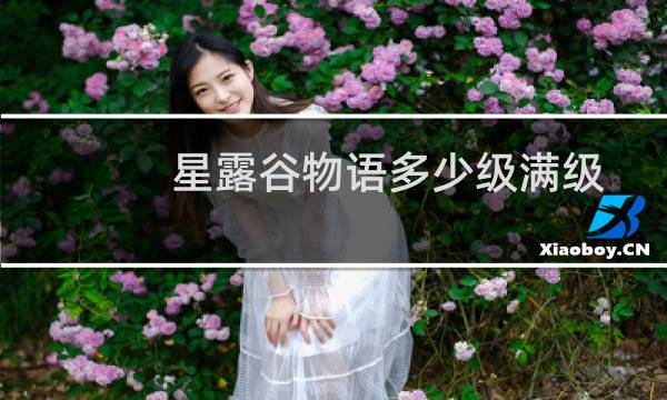 星露谷物语多少级满级