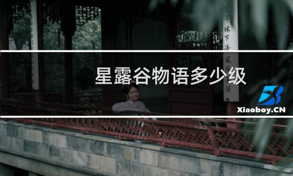 星露谷物语多少级