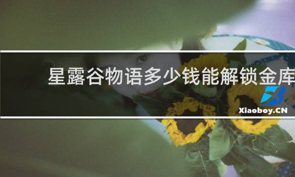 星露谷物语多少钱能解锁金库