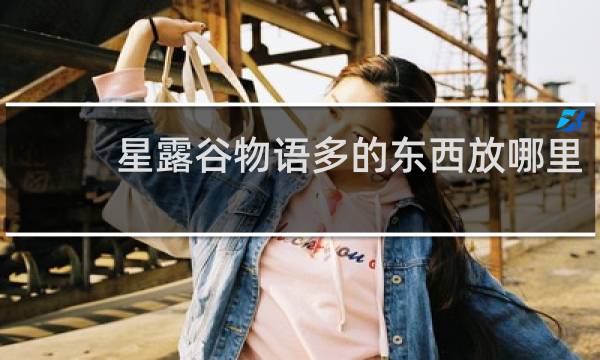 星露谷物语多的东西放哪里