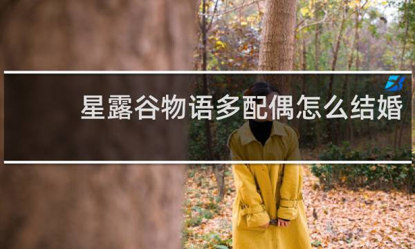 星露谷物语多配偶怎么结婚