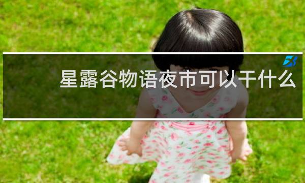 星露谷物语夜市可以干什么