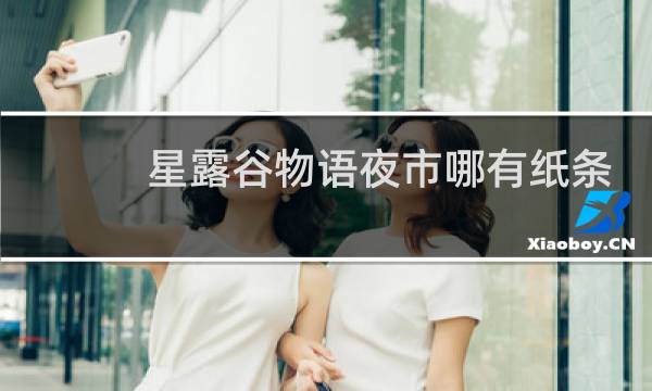 星露谷物语夜市哪有纸条