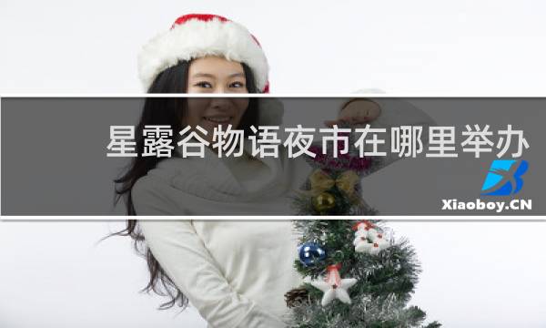 星露谷物语夜市在哪里举办