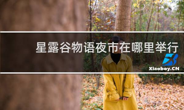 星露谷物语夜市在哪里举行