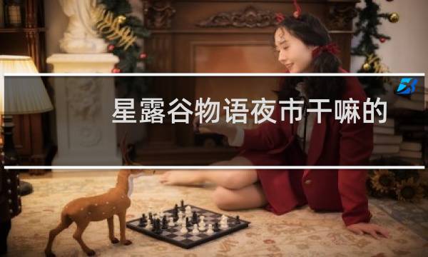 星露谷物语夜市干嘛的