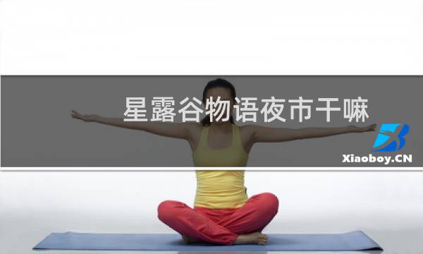 星露谷物语夜市干嘛