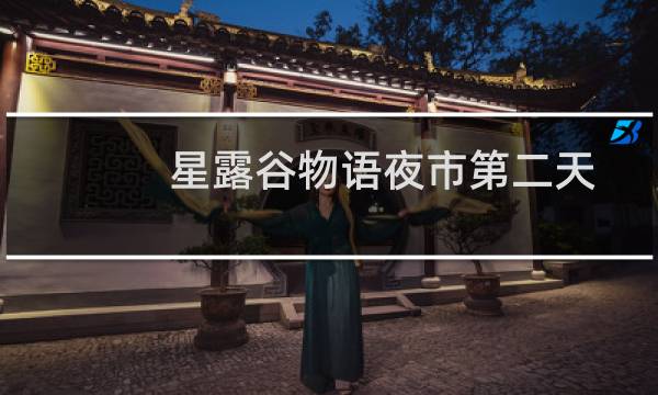 星露谷物语夜市第二天