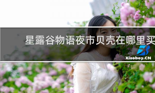 星露谷物语夜市贝壳在哪里买