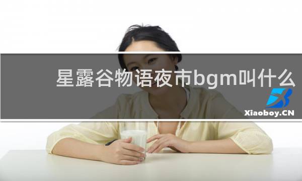 星露谷物语夜市bgm叫什么