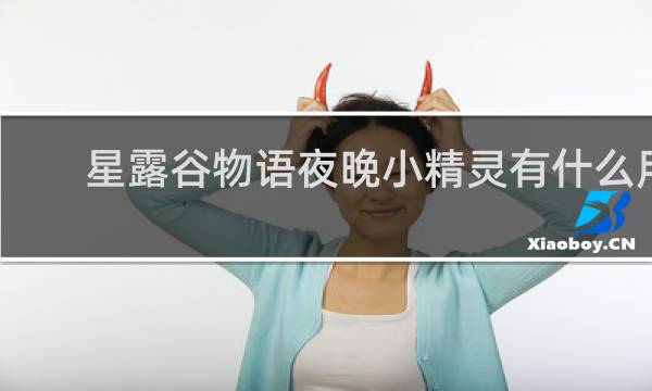 星露谷物语夜晚小精灵有什么用