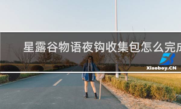 星露谷物语夜钩收集包怎么完成