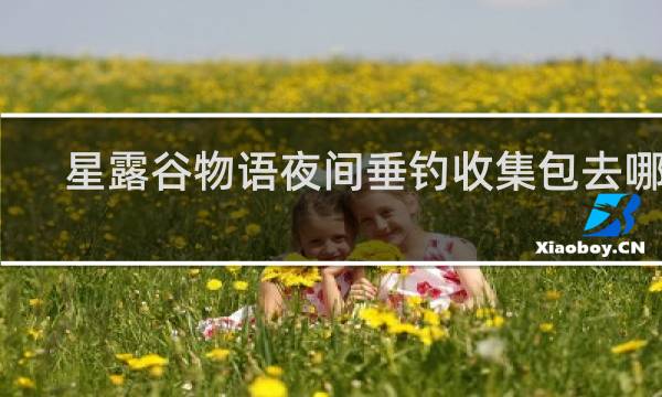 星露谷物语夜间垂钓收集包去哪钓