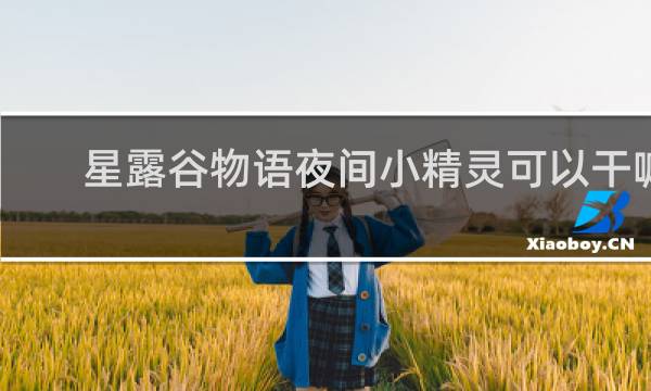 星露谷物语夜间小精灵可以干嘛