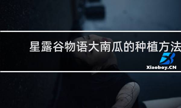 星露谷物语大南瓜的种植方法