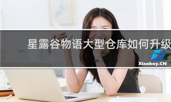 星露谷物语大型仓库如何升级