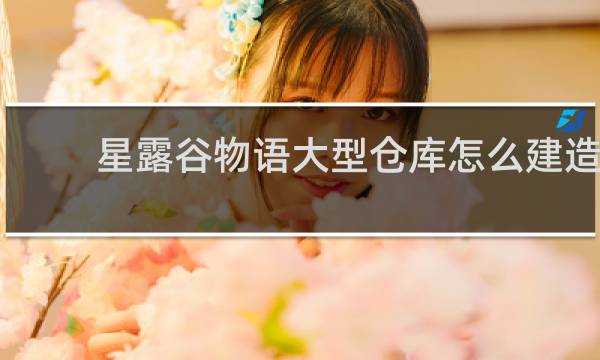 星露谷物语大型仓库怎么建造