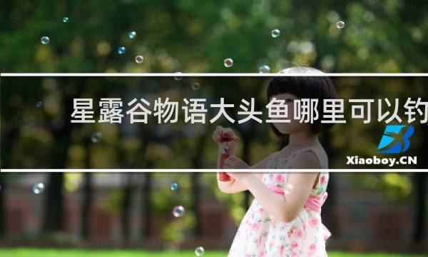 星露谷物语大头鱼哪里可以钓