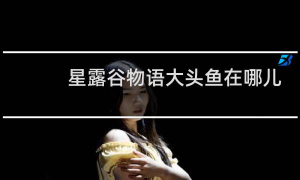 星露谷物语大头鱼在哪儿
