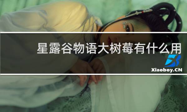 星露谷物语大树莓有什么用