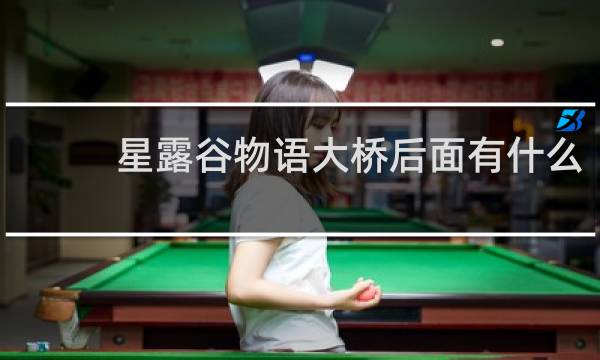 星露谷物语大桥后面有什么