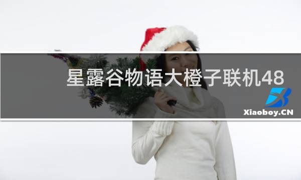 星露谷物语大橙子联机48