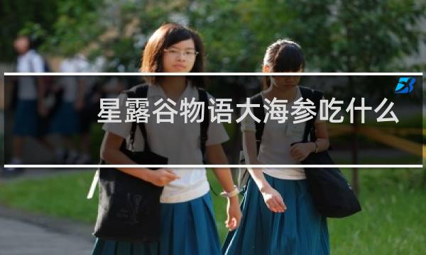星露谷物语大海参吃什么