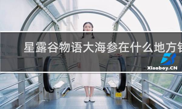 星露谷物语大海参在什么地方钓
