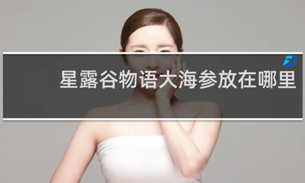 星露谷物语大海参放在哪里