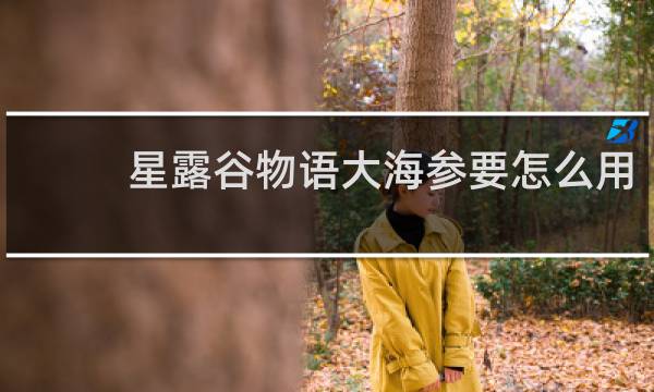 星露谷物语大海参要怎么用
