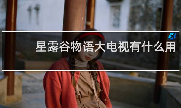星露谷物语大电视有什么用
