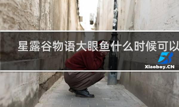 星露谷物语大眼鱼什么时候可以调