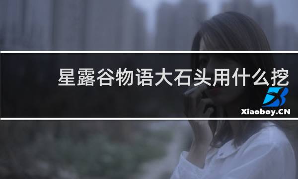 星露谷物语大石头用什么挖