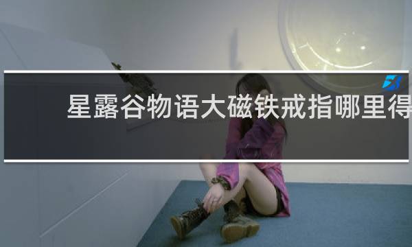 星露谷物语大磁铁戒指哪里得