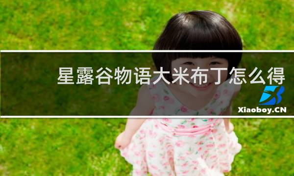 星露谷物语大米布丁怎么得
