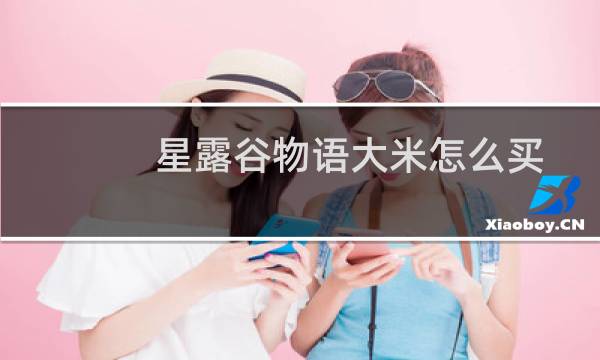 星露谷物语大米怎么买