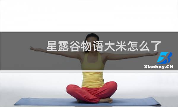 星露谷物语大米怎么了