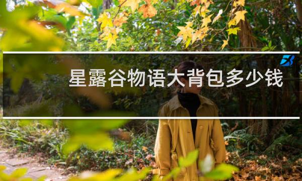 星露谷物语大背包多少钱