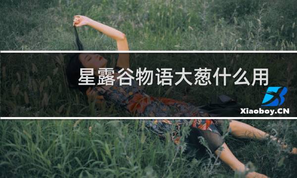 星露谷物语大葱什么用