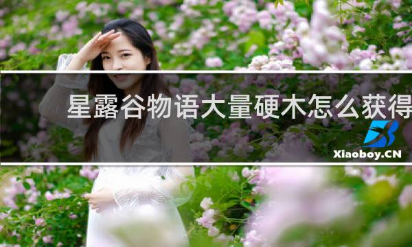 星露谷物语大量硬木怎么获得