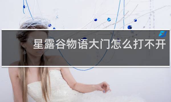 星露谷物语大门怎么打不开