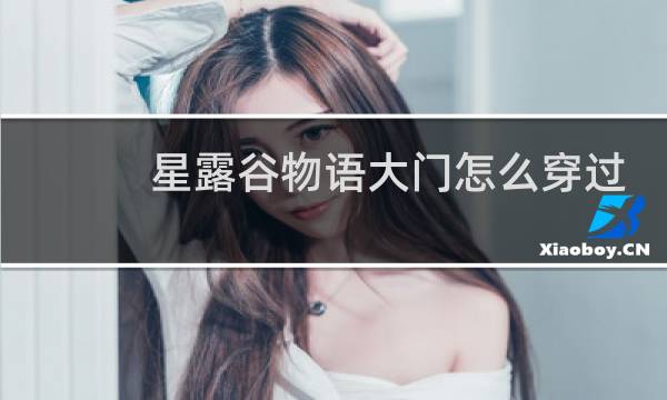星露谷物语大门怎么穿过