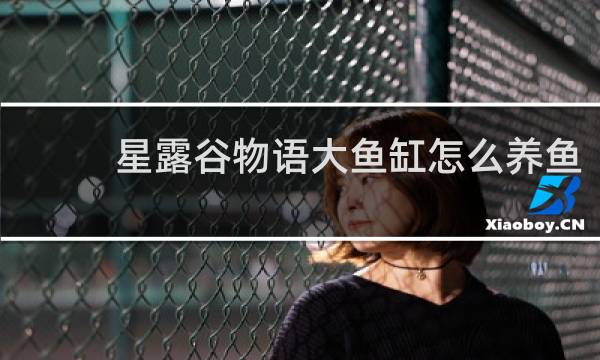 星露谷物语大鱼缸怎么养鱼