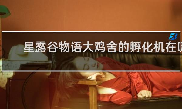 星露谷物语大鸡舍的孵化机在哪