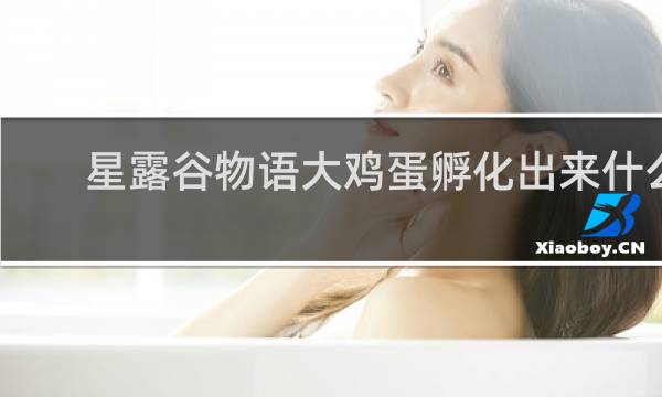 星露谷物语大鸡蛋孵化出来什么